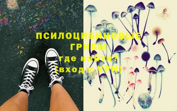 ешки Арсеньев